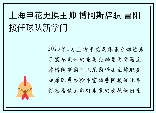 上海申花更换主帅 博阿斯辞职 曹阳接任球队新掌门