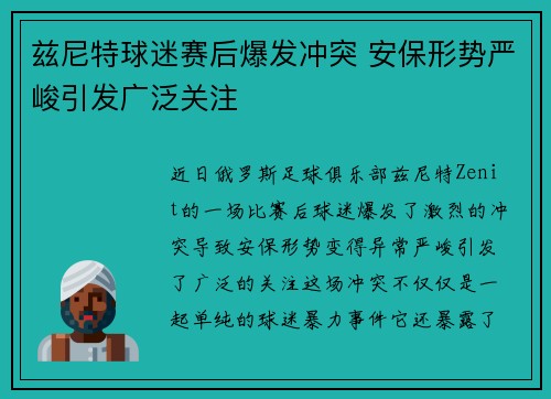 兹尼特球迷赛后爆发冲突 安保形势严峻引发广泛关注